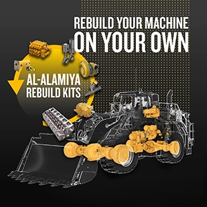 Reborn for Assured Results